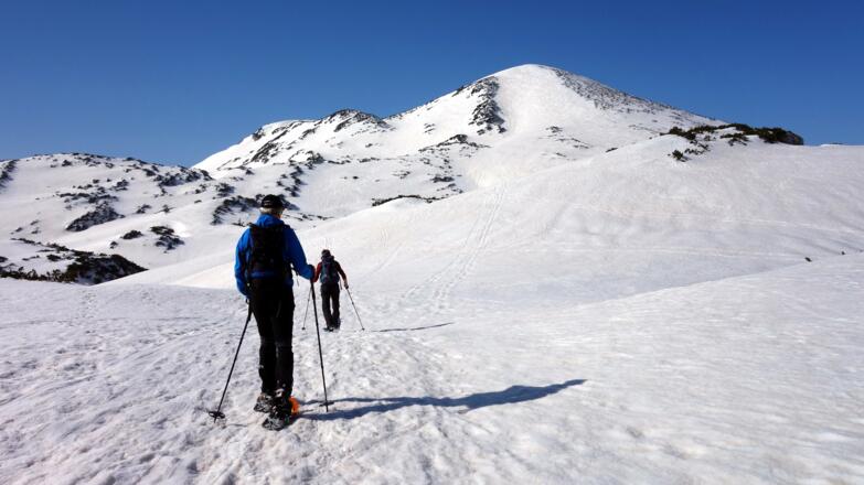 Gr. Höllkogel im Blick