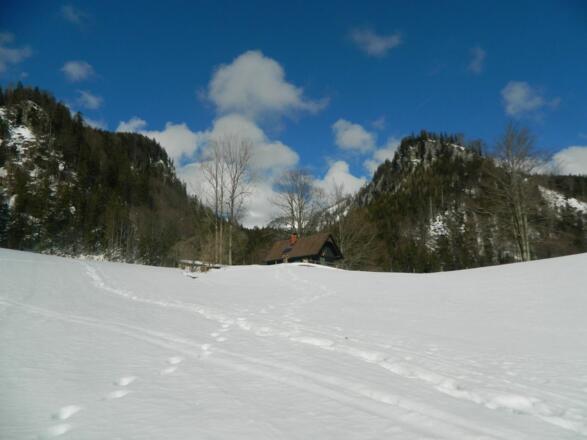 Saileralm