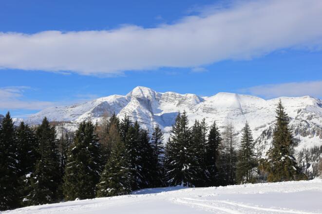 Am Gipfel des Schwarzkogel