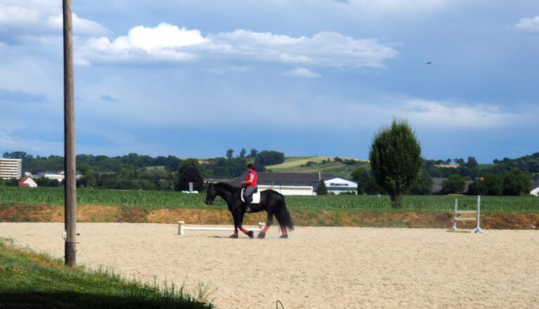 Am Pferdehof vorbei und zum Güterweg