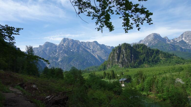 Hier Ende Wald um 615m links ab, Steigbeginn