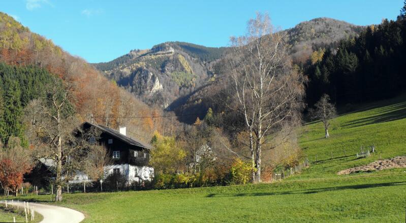 Hof 430m, dahinter beginnt der Forstweg rechts