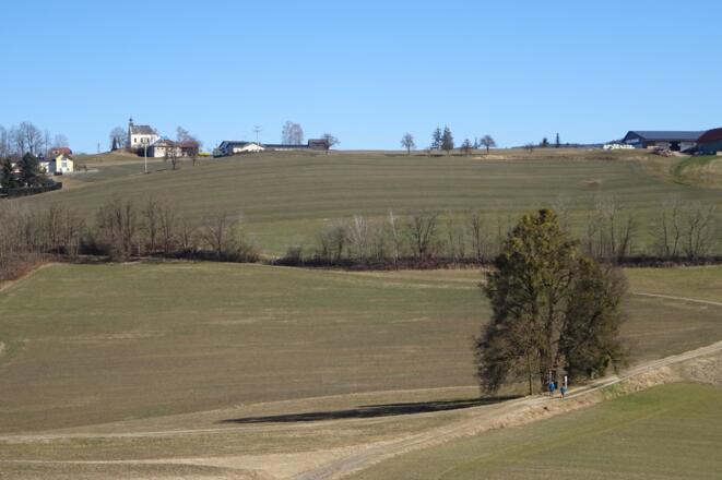 Oberhamberger Linde und Bergkirche