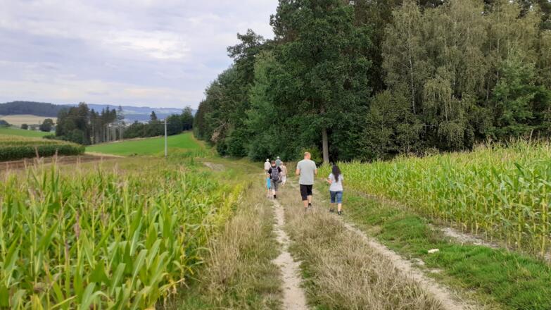 Gotikrunde FR10 630m, durch die Felder Richtung Altstadt-Freistadt.