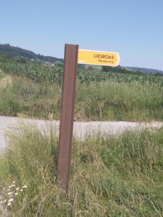 Wanderwege ausgehend vom "Haager Lies" Radweg.
