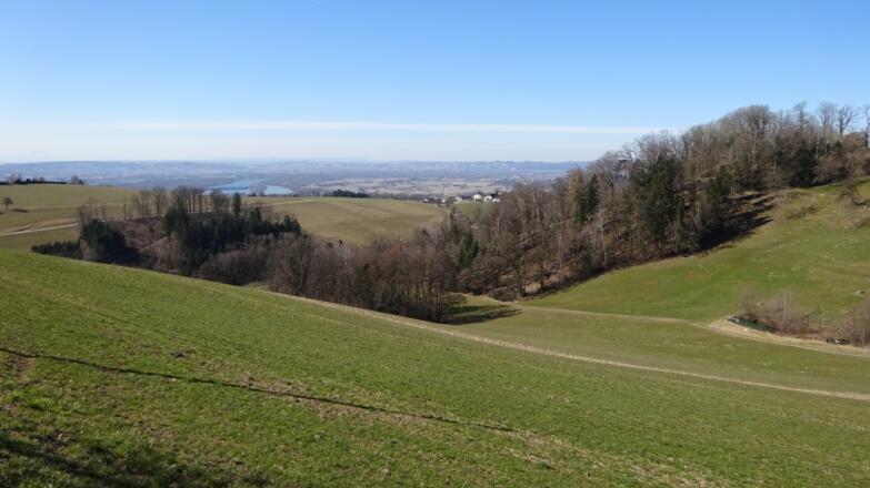 Blick vom Schlagberg zur Donau