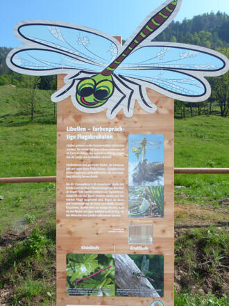 Libellen kann man hier antreffen  © Buchner