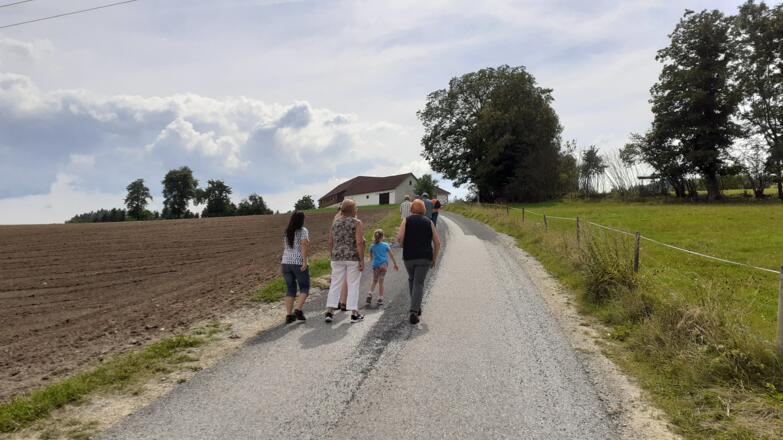 Anstieg auf dem Güterweg "Trölsberg", erster Hof in Sicht.