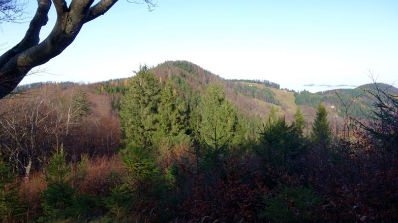 Gratgipfel 1180m vom Sonnkogelabstieg