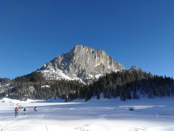 Stubwieswipfel