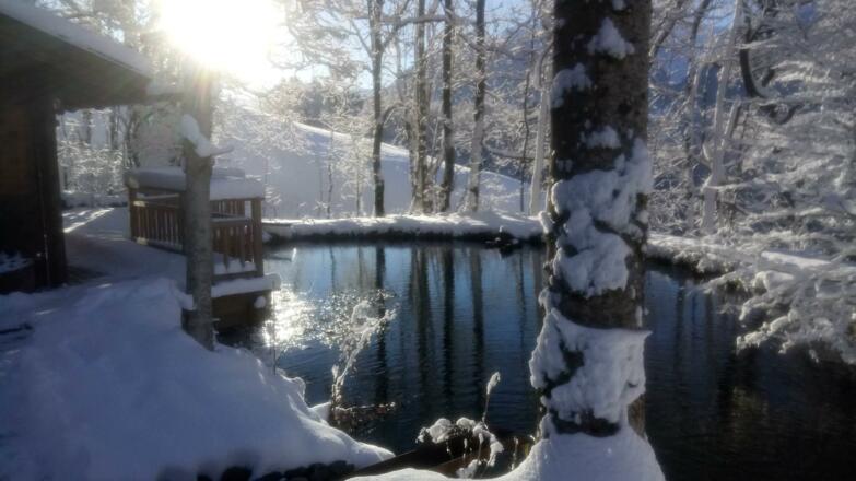 20171205_081924000_iOS