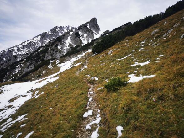 Kurz vor der Trittspuren zur Wildangerspitze