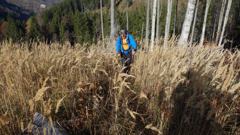 Jagasteig ca. 1035 m bis 1165 m