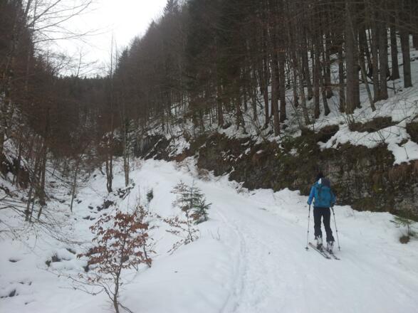 Im Aufstieg am Beginn des Katzentals