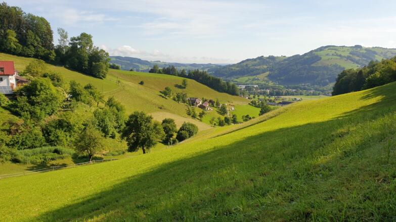 Blick zurück in das Gschlößltälchen