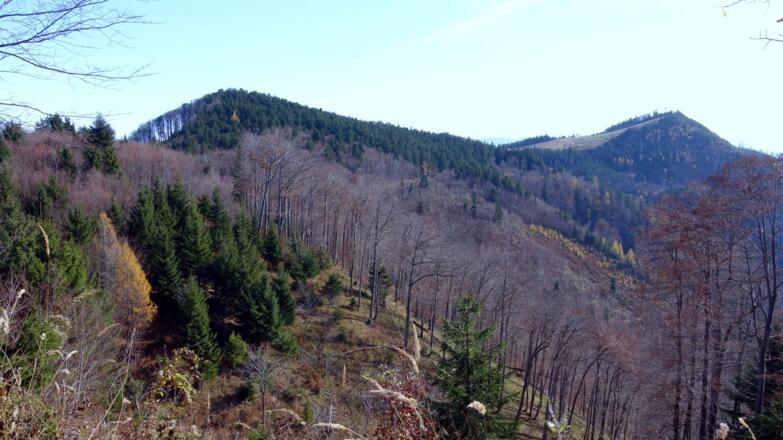 Schneebergrücken1176m mit Tannscharten und Schneeberg