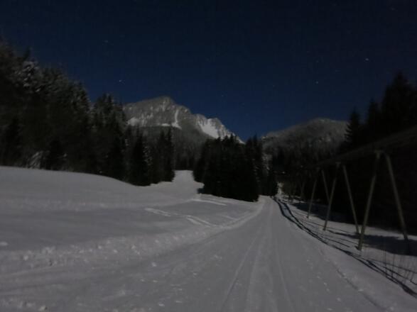 Wenn der Mond hell scheint, brauchts keine Lampe