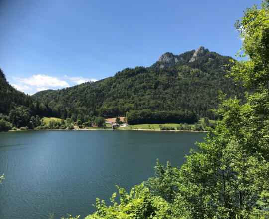Schwarzsee