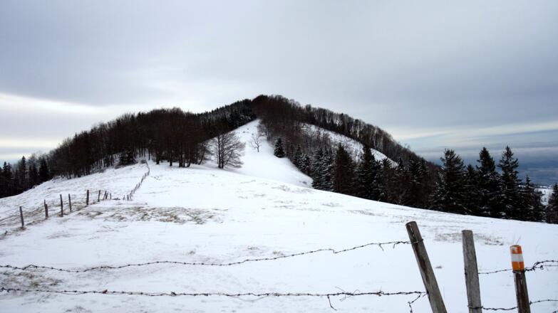 Senke ~970m mit Kruckenbrettl