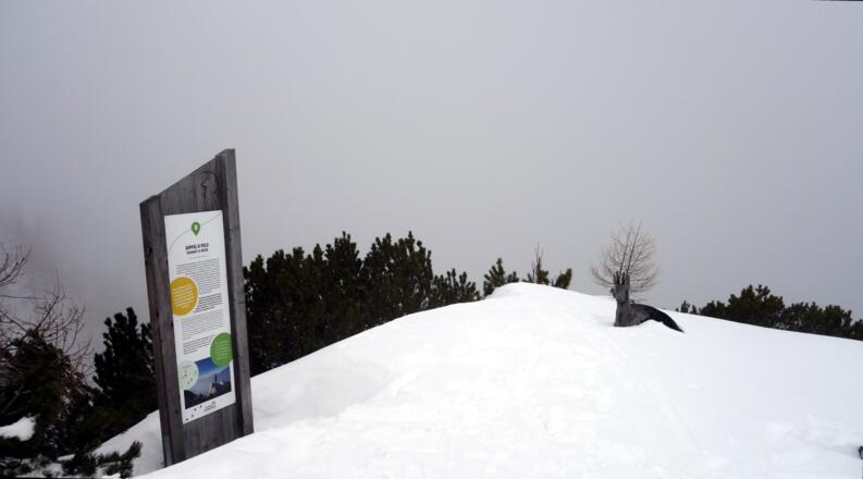 Feuerkogel 1461m mit Infotafel