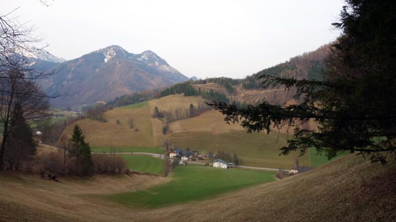 Blick vom Waldrand zur Straße