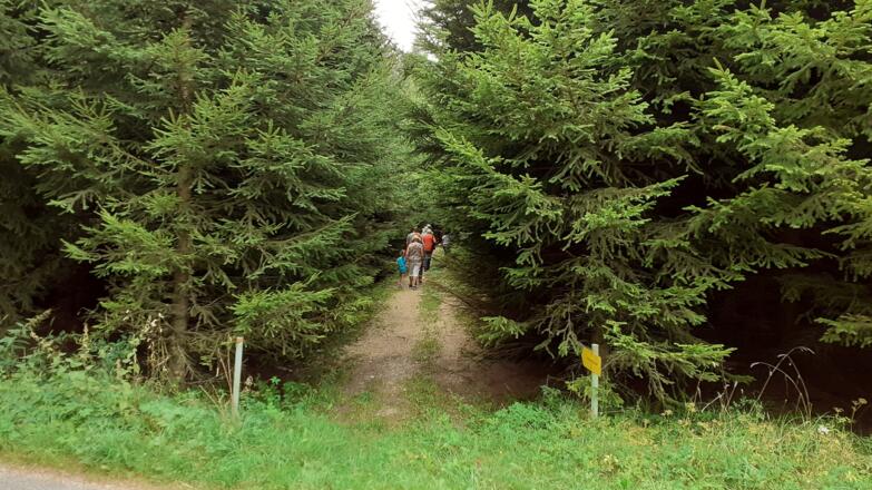 Nach dem 2.Hof rechts ab, kleine, gelbe Tafel