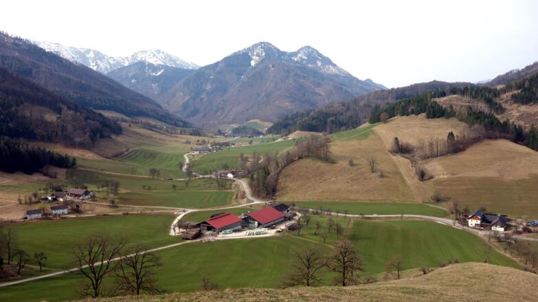 Blick zum Hof mit den Spitzbergen ~610m, rechts am Zaun ab
