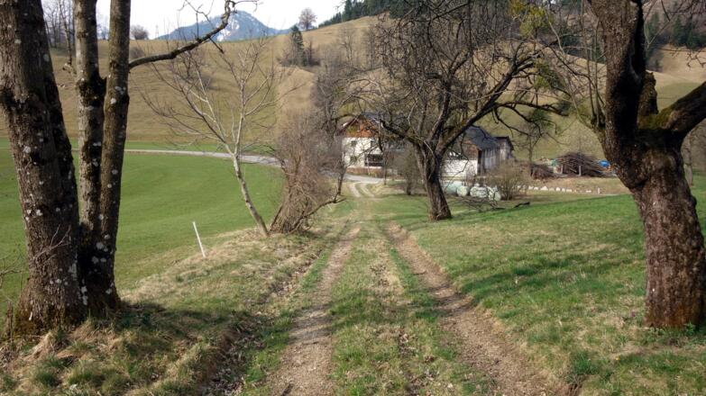 Kurzer Ziehweg zum Betonbrückerl und zur Straße, links P