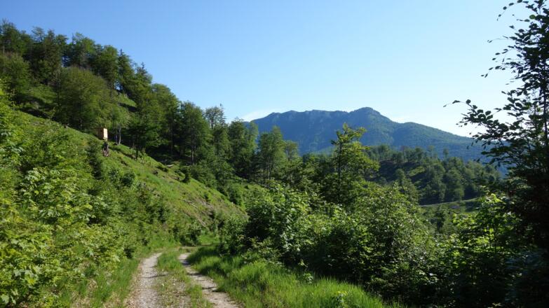 Abstieg zur Weggabelung ca. 920m - 885m