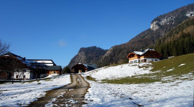 Hof und Jausenstation Aschinger ~655m