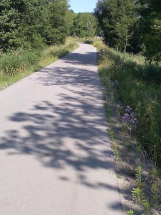 Fahrt durch ländliche Idylle.