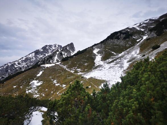 Die Lattenspitze im Blick