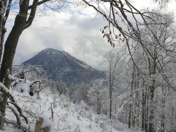 Im Abstieg vom Hochbuchberg: Blick Richtung Schoberstein