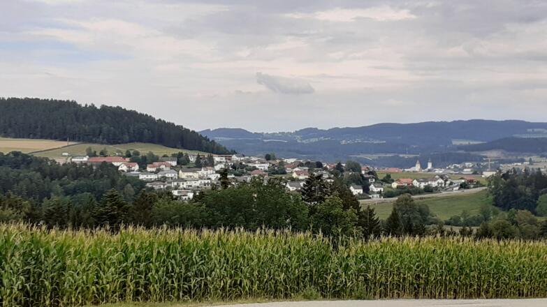 Freistadt im Blickfeld