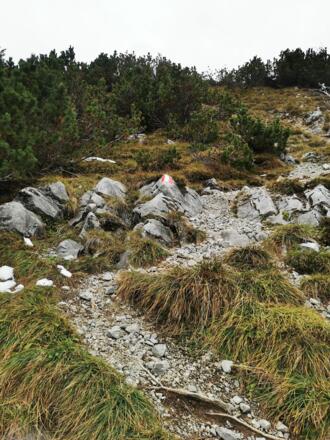 der Weg durch den Latschengürtel