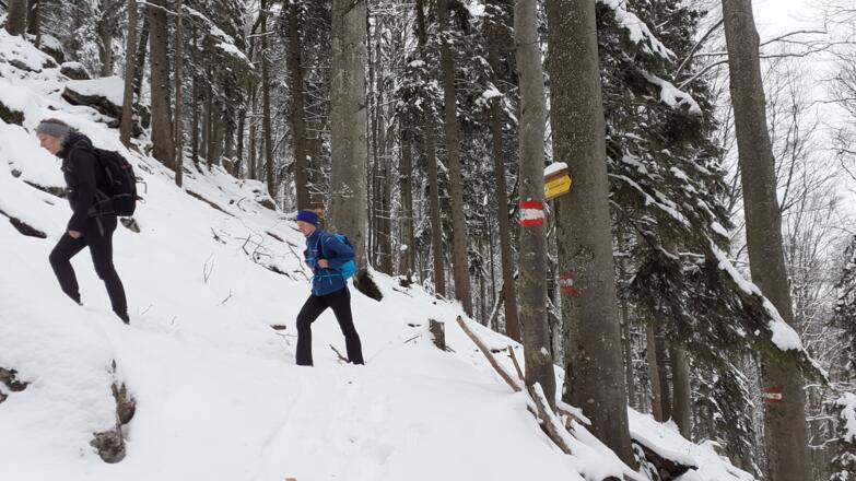 ~940 m, Einmündung in WEG 480 vom Rieserberg