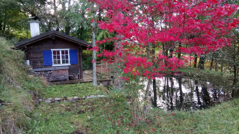 Herbst im Kleinen Paradies