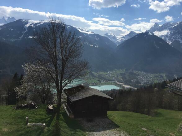 Sommer im Kleinen Paradies