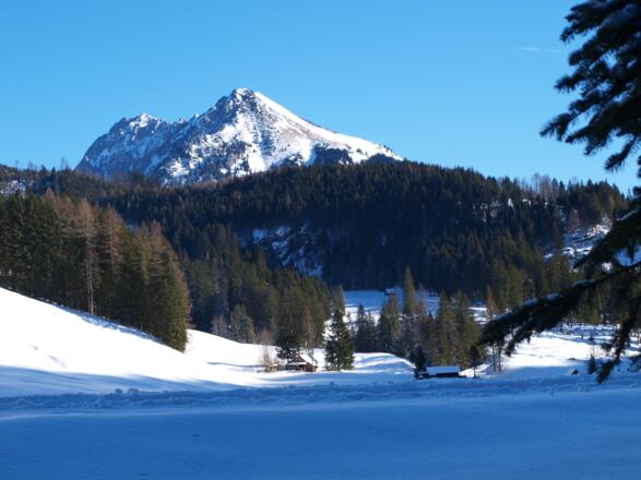 Wieder auf der Hintersteineralm 1020m