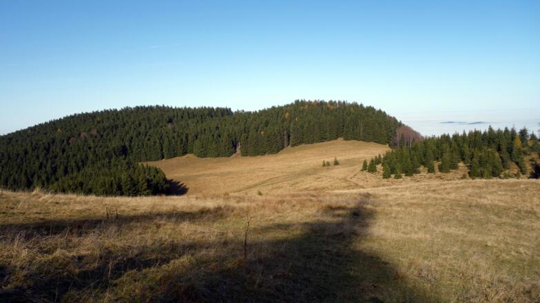 Tannscharten 1211m Rückblick, von Süden gesehen