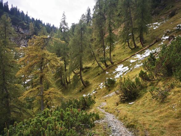 hinab über das Törl in das Halltal