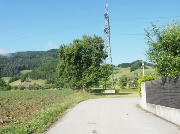 Ternberg, hier zweigen wir auf den Wiesenweg entlang der Baumreihe ab.