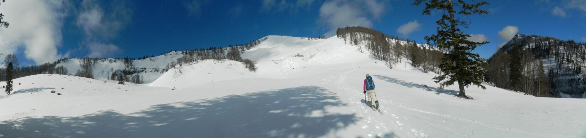 Gipfelregion Almkogel