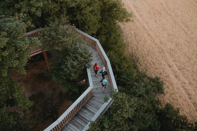 Drohnenaufnahme Aussichtsturm Burgstall Kirchberg ob der Donau