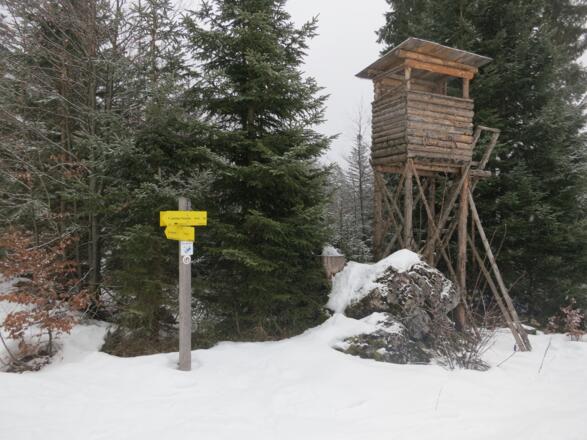 Klassische Wanderwegsmarkierung am Pausenplatzerl bei der Abzweigung Schmiedalm