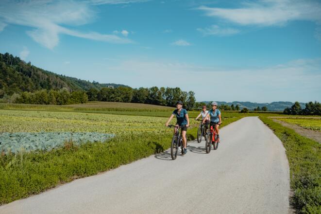 Radtour am Donauradweg Gemüsefeld Pupping Eferding