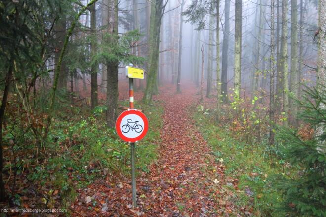 Der Steig ist gut auffindbar und markiert