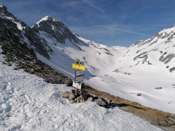 Von der Gruberscharte - Rückblick zur Scheichenspitze
