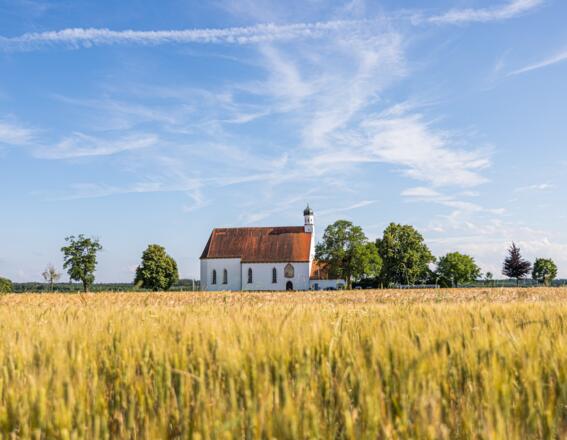 Weizenfeld vor der Wallfahrtkirche St. Willibald