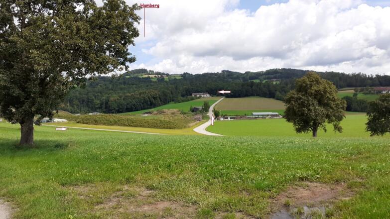 Senke mit Grünschnitt-Sammelzentrum